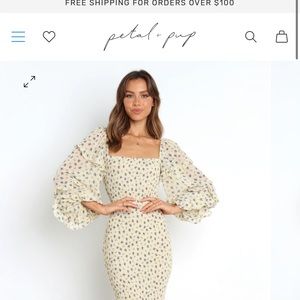 Petal and Pup Smocked Dress